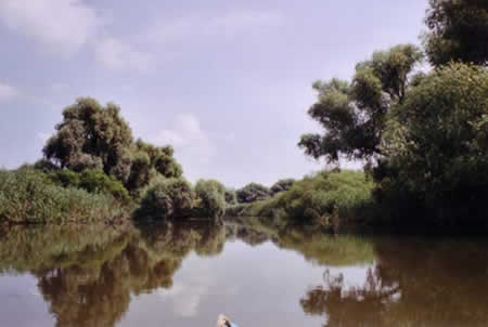 Danube Delta Picture 5
