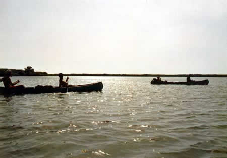 Danube Delta Picture 12