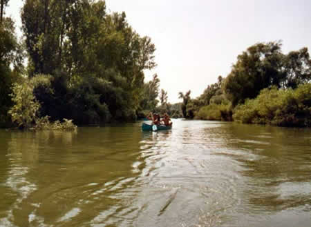 Danube Delta Picture 17