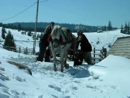Apuseni Mountains Picture 11