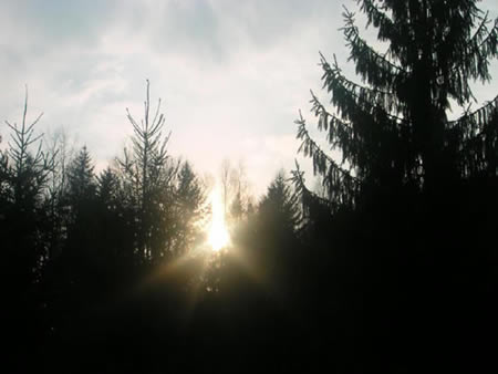 Apuseni Mountains Picture 18