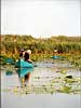 Danube Delta Picture 1