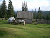 Apuseni Mountains Picture 8